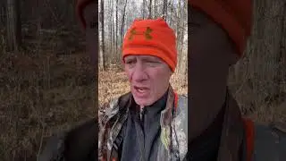Northern Minnesota rifle deer hunting season: 11/8/25