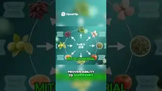 💪 Mitolyn: Science-Based Support for Fat Loss, Energy & Vitality! #mitolyn #fatloss #fatburner