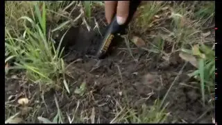 Металлоискатель Garrett Pro-Pointer