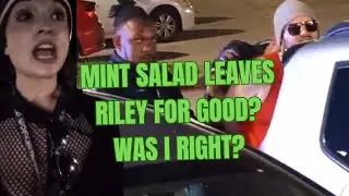 Mint Salad Leaves Riley For Good? Was I Right?