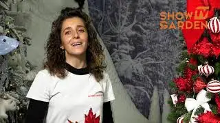 Albero di Natale - Addobbi