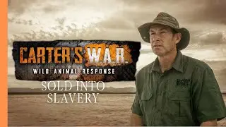 Ivan Carter: Bushmeat Trade & Chimp Rescue | Wildlife Documentary