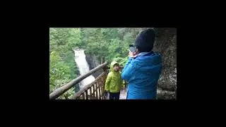 Bushkill Falls: Nature | Pennsylvania | USA #shorts