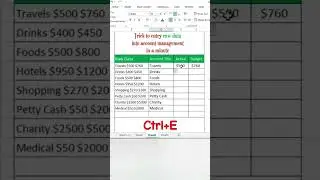 Trick to entry raw data into account management in a minute #excel #computer #subscribe