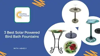 3 Best Solar Powered Bird Bath Fountains