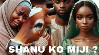 SHANU KO MIJI? / COW OR YOUR HUSBAND?/ AFRICAN FOLKTALES/ TATSUNIYAN HAUSA/ HAUSA STORIES/ AREWA