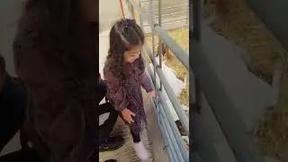 kids day out at hesketh farm park ..🤩