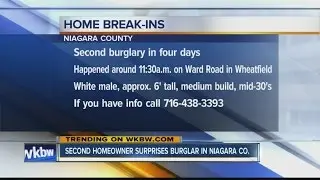 Second homeowner surprises burglar in Niagara Co