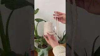 How To: Water plants | Vacation Edition 🪴 #hacks