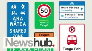Poll reveals Kiwis split over rollout of bilingual road signs | Newshub