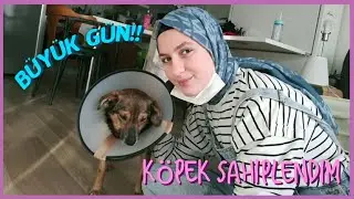 Sokaktan Köpek Sahiplendim | Max'in ilk günü