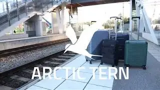 ARCTIC TERN TRAVEL TROLLEY