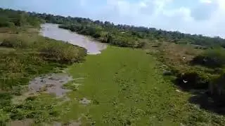 Magana video