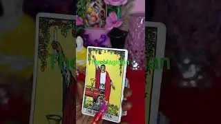 #shortvideo #The Magician #tarot