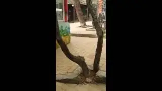 20160501 154349