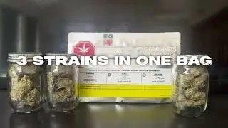 Cannabis Culture Craft Collection: 3 Strains in 1 Bag