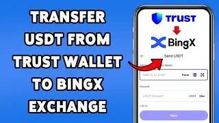 Transfer USDT From Trust Wallet To BingX Exchange | Send USDT To BingX 2025