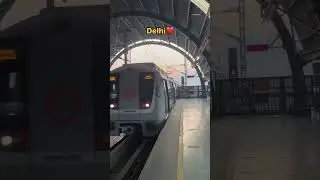 Delhi Metro status video trending viral video #trending
