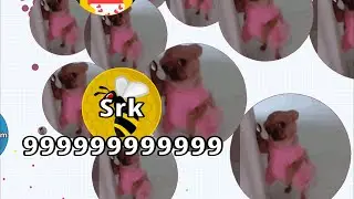 SOLO LEGEND🍿 (AGARIO MOBILE)