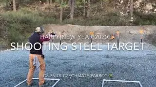CZ 75 TS Czechmate Parrot 🦜 Happy New Year 2020 🎉