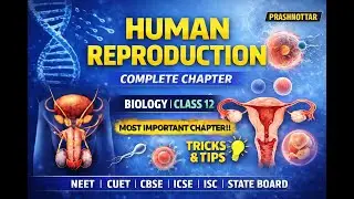 Human Reproduction L06 | Complete Chapter | Biology Class 12 | NEET • CUET • Boards