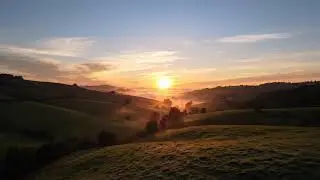 Peaceful Harp Music for Deep Sleep & Emotional Healing - Meditation Music for Stress Release