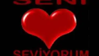 Sercan Birtanem