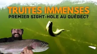 Pêche à la truite arc-en-ciel à vue?! et nouveau record!