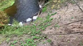 Pushing a log off a cliff