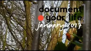 Project Document Your Life | January 2017