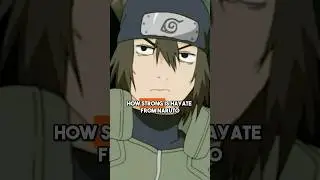How Strong is Hayate?