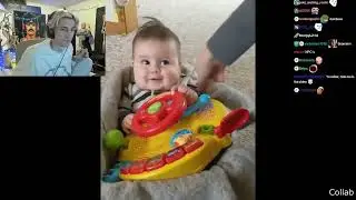 xqc ddoi