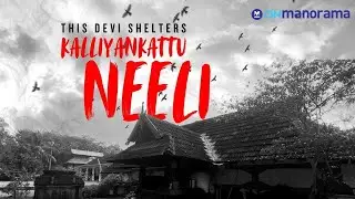 Lokah&rsquo;s Kalliyankattu Neeli Lives in this Kerala Temple as Yakshi Amma