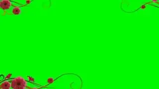 Rose Frame Animation ✩ HD Greenscreen / Chroma Key