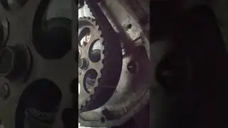 titik top timing belt zebra 1.3