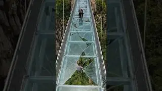Glass Bridge Is Cracking 😱 | Shocking View Caught on Camera!😱 #shorts #ytshorts #shortsfeed  #viral