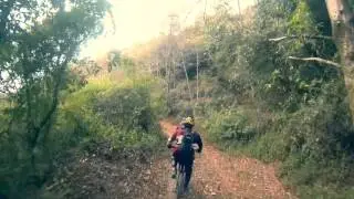 Jhule Jungle Trail