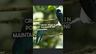 🐦✨ 𝐓𝐡𝐞 𝐒𝐦𝐚𝐥𝐥𝐞𝐬𝐭 𝐁𝐢𝐫𝐝𝐬 𝐢𝐧 𝐭𝐡𝐞 𝐖𝐨𝐫𝐥𝐝: 𝐓𝐢𝐧𝐲 𝐖𝐨𝐧𝐝𝐞𝐫𝐬 𝐨𝐟 𝐍𝐚𝐭𝐮𝐫𝐞! ✨🐦