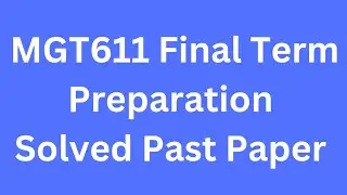 MGT611 Final term Preparation Solved Past Papers