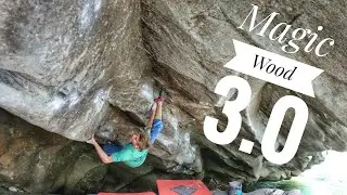 Orrin Coley - Magic Wood 3.0