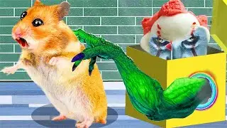 Magical treasure chest