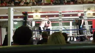 EBF. Semi pro Boxing