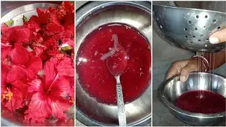 জবা ফুল দিয়ে চুল কালো ও sliky করার উপায় #bengalivlog // sliky and soft hair use hibiscus flowers