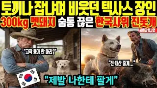 [해외감동사연] 