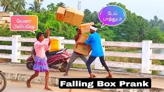 falling box prank tamil 😂🤣 | Pacchakili | #madurai #tamilprankvideo #pacchakili