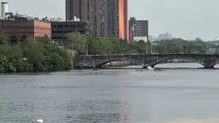 Boston Dragon Boat Festival 2025 - Division A Major Finals