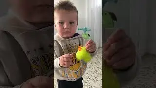 Foreigner speaking Tagalog to Nephew #philippines #tagalog #bisaya #learn #learning #language