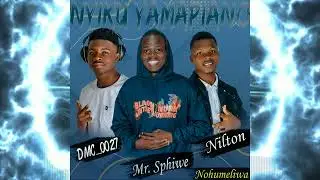 DMC_0027, Mr. Sphiwe & Nilton - Nohumeliwa (Oficial &Aacute;udio) Visualizer