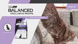 VITALCAN BALANCED EXCLUSIVE RECIPE HIGH PROTEIN POLLO ARROZ 15seg 16 9 proteinas