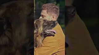 Do Animals REALLY Feel Emotions Like US?